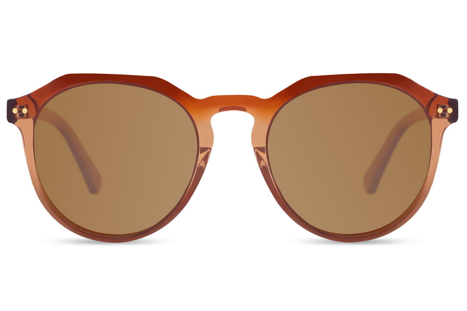 Axolotl main product photo