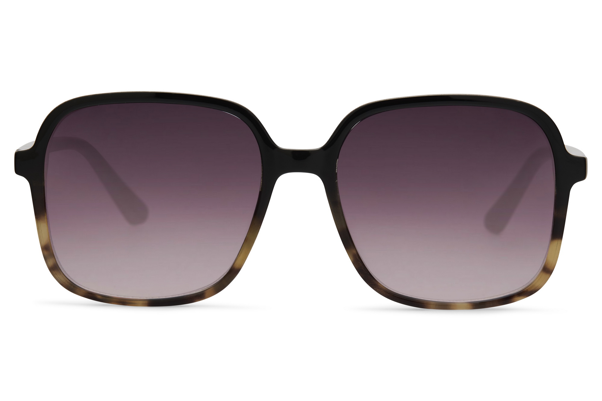 Night Fever main product photo